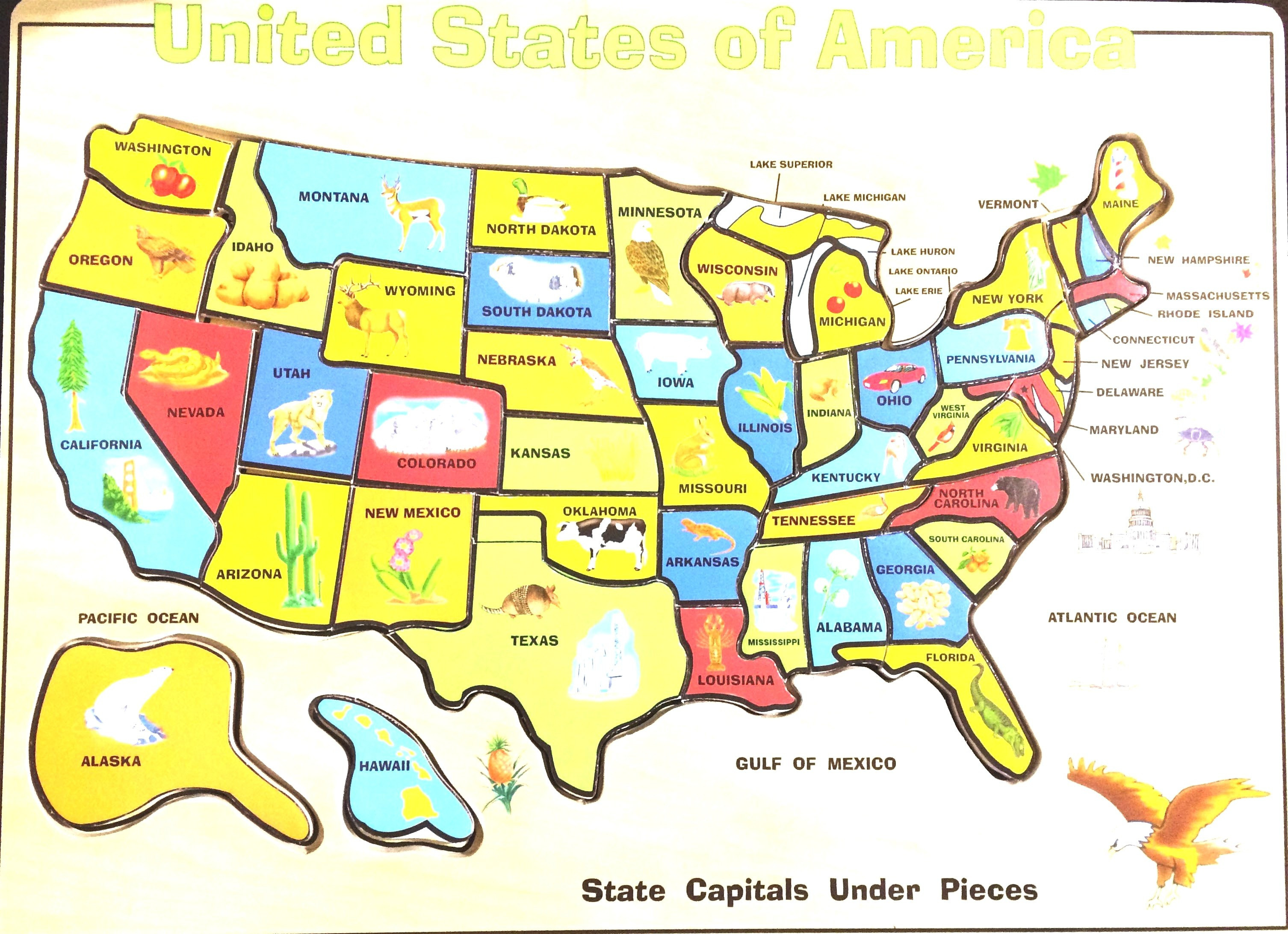 10 Unique Printable United States Map Jigsaw Puzzle Printable Map