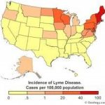 34 Best Lyme Disease Maps And Charts Images On Pinterest In 2018 Regarding Lyme Disease By State Map