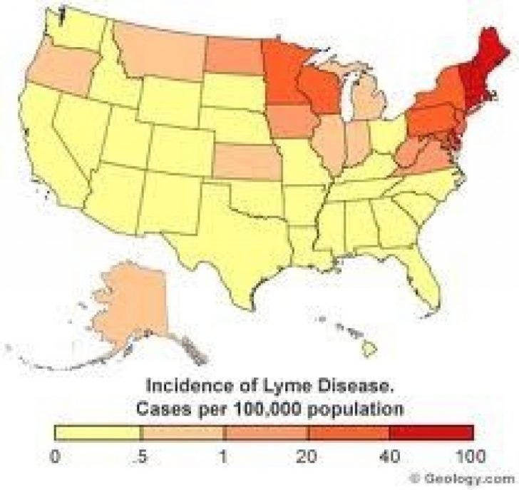 Lyme Disease By State Map