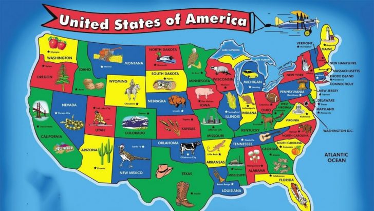 50 States Song For Kids | 50 States And Capitals For Children | Usa ...
