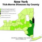 A Map Of High Risk Areas For Lyme And Other Tick Borne Diseases In With Lyme Disease New York State Map