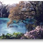 Activities At Rainbow Springs State Park And The Rainbow River Pertaining To Rainbow Springs State Park Campground Map