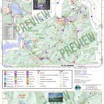 Allegany State Park Visitors Map | Enchanted Mountains Of For New York State Parks Map