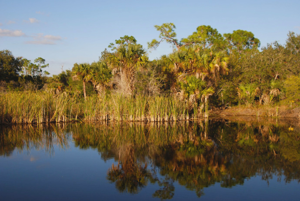 Alligator Creek | Florida Hikes! pertaining to Charlotte Harbor Preserve State Park Trail Map