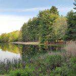 Best Trails In Chatfield Hollow State Park   Connecticut | Alltrails Intended For Chatfield Hollow State Park Trail Map