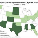Bite Me: Weather's Impact On Mosquitoes Throughout Mosquito Population By State Map