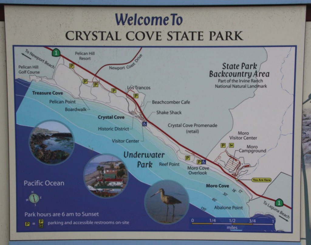 Crystal Cove State Park – Moro Beach, Laguna Beach, Ca - California for Crystal Cove State Beach Map