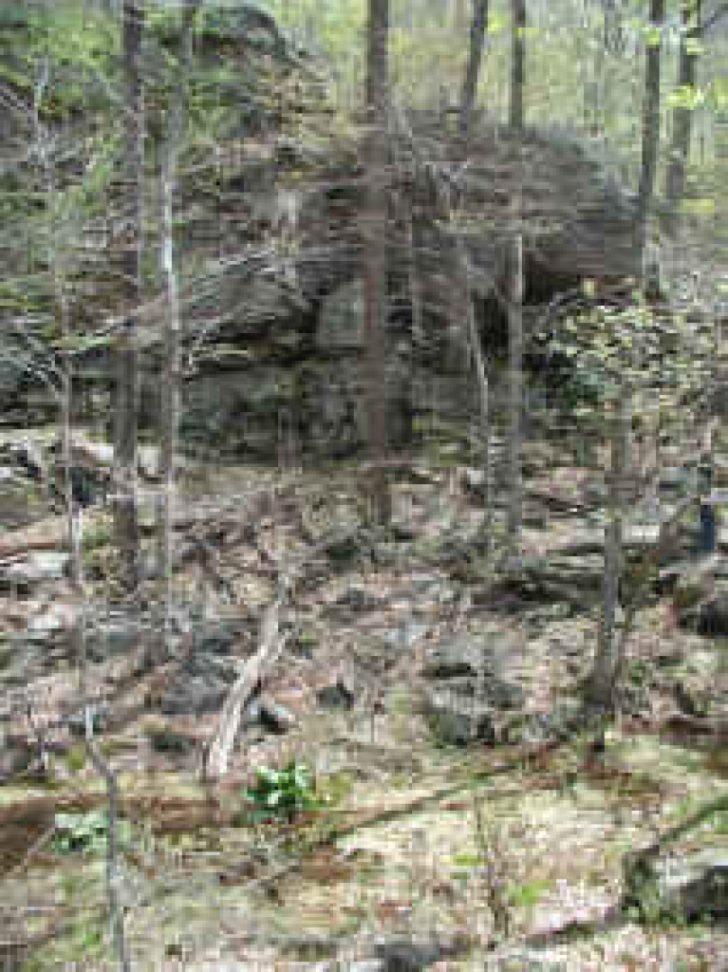 Chatfield Hollow State Park Trail Map