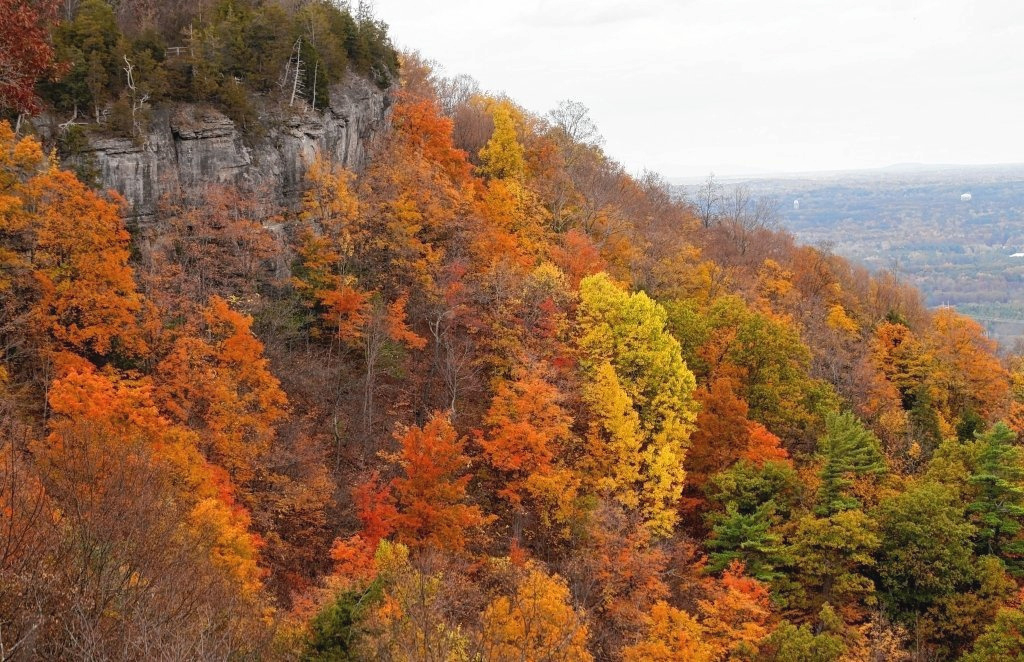 Fall Foliage Map: Best Places To See Leaves Changing Color In with regard to New York State Foliage Map