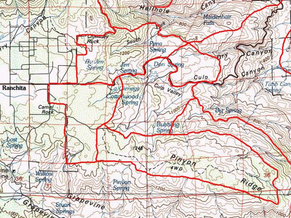 Flora Of Culp Valley Area, Anza-Borrego Desert State Park within Anza Borrego Desert State Park Map Pdf