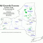 Forests Of The Adirondack Park   Location Of Old Growth Forests Throughout New York State Forests Map
