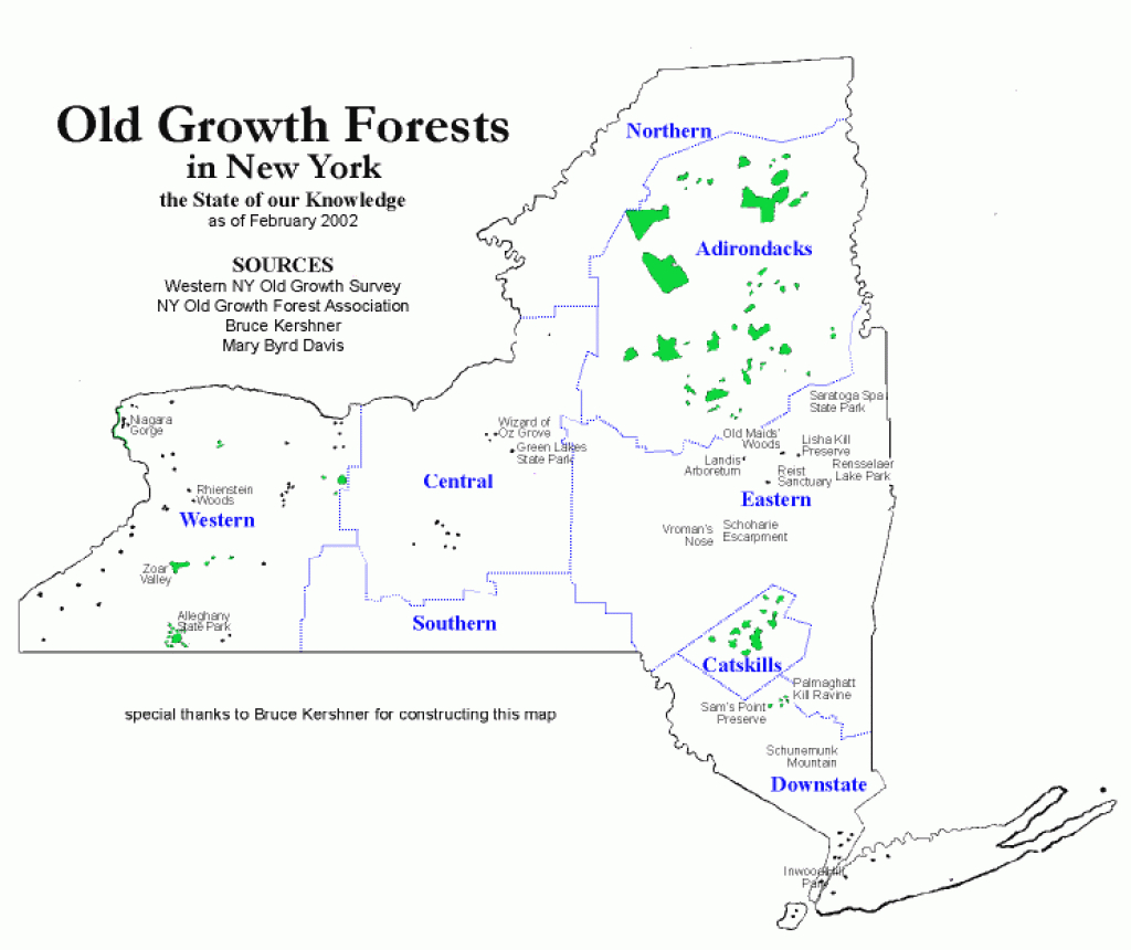 Forests Of The Adirondack Park - Location Of Old Growth Forests throughout New York State Forests Map