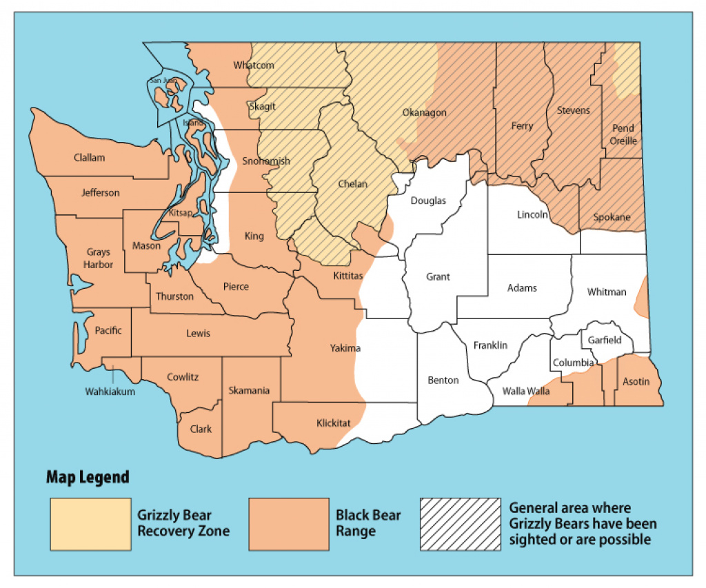 Game Species: Bear Identification Program | Washington Department Of regarding Bears In Washington State Map