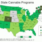 How Many Medical Marijuana States Are There? Advocates Disagree On In States That Legalized Recreational Weed Map