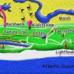 Hunting Island State Park Sun Rise Set Times Sunrise Sunset Beach Throughout Hunting Island State Park Campsite Map