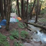 Limekiln State Park Campground| Big Sur | Hikespeak With Limekiln State Park Campground Map