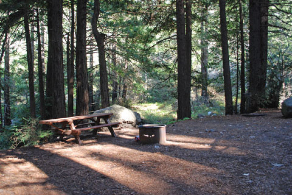 Limekiln State Park Campground - Monterey County in Limekiln State Park Campground Map