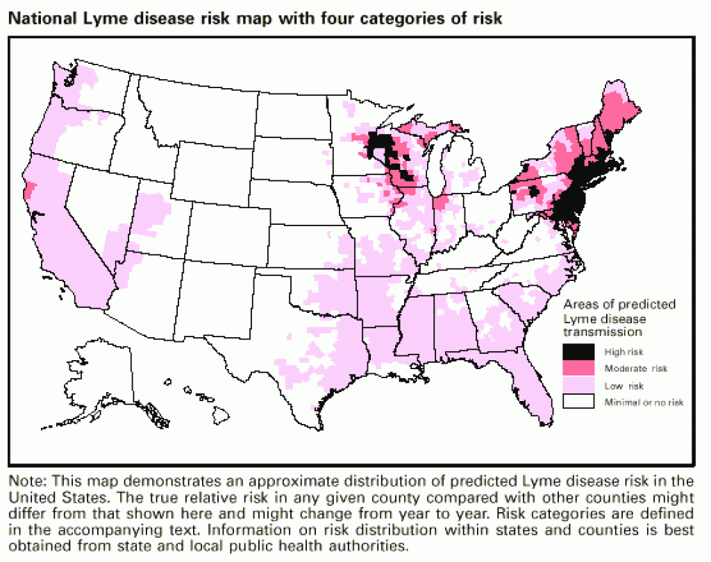 Lyme Disease in Lyme Disease By State Map