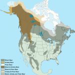 Map Of Where Bears Live In North America Regarding Bears In Washington State Map