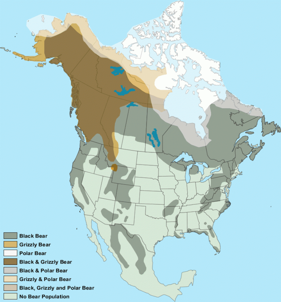 Map Of Where Bears Live In North America regarding Bears In Washington State Map