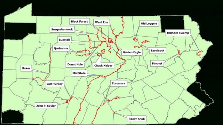 Pa State Forest Maps
