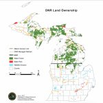 Michigan Battling 22 Invasive Forest Species, High Electric Bills Pertaining To Michigan State Forest Map