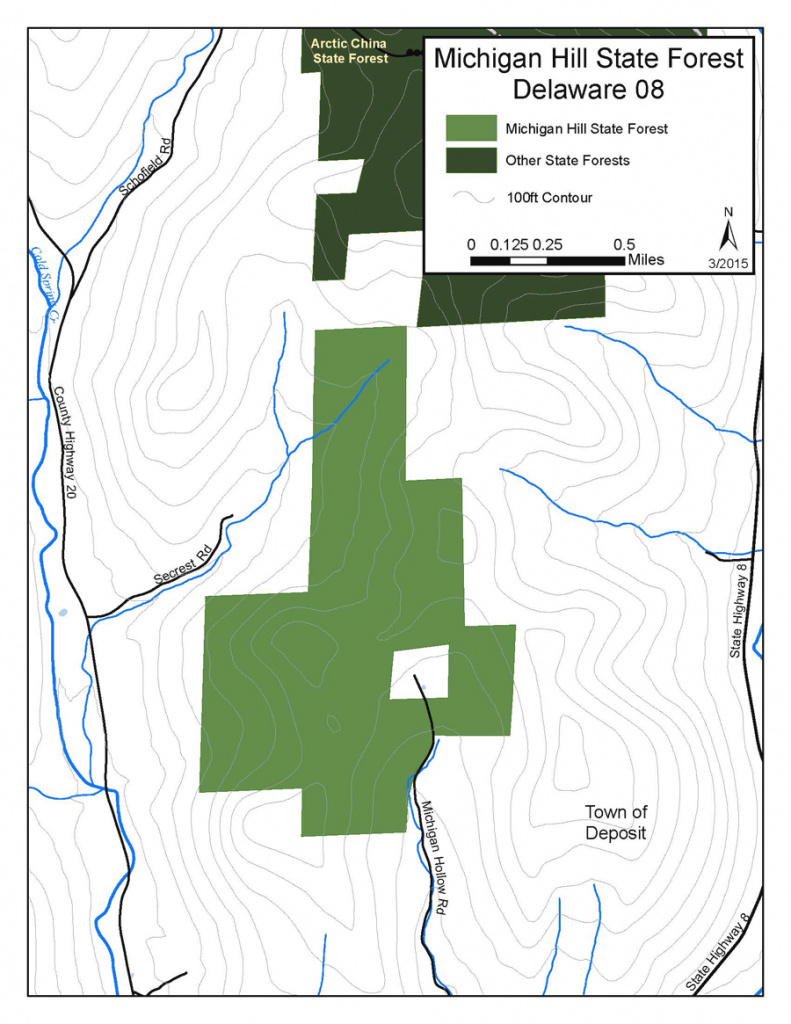 Michigan Hill State Forest Map, Delaware County - Nys Dept. Of in Michigan State Forest Map