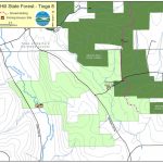 Michigan Hill State Forest Map   Nys Dept. Of Environmental Conservation For Michigan State Forest Map