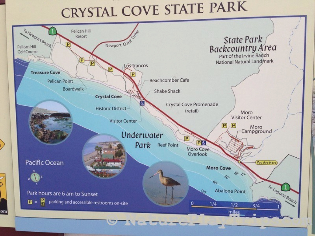 Moro Beach At Crystal Cove State Park | El Moro Beach Laguna Beach pertaining to Crystal Cove State Park Map
