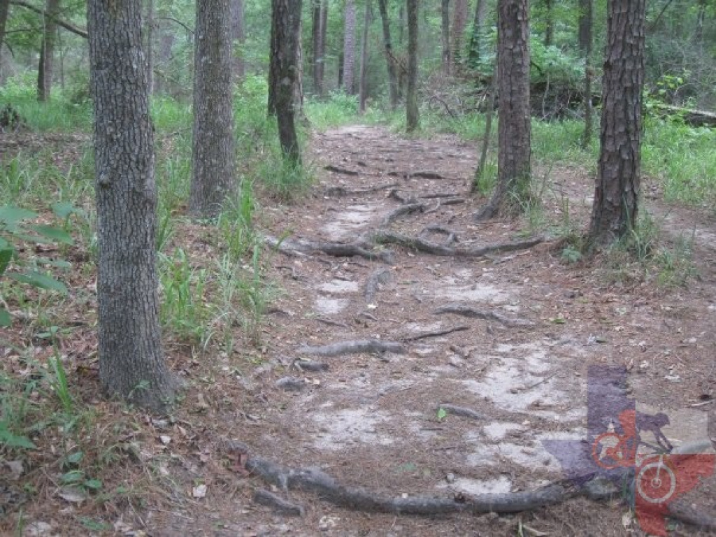 Mountainbiketx | Trails | Piney Woods | Huntsville State Park intended for Huntsville State Park Trail Map