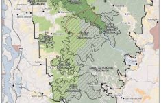 National Park Service Considers Relocating Grizzly Bears | News pertaining to Bears In Washington State Map