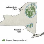 New York's Forest Preserve   Nys Dept. Of Environmental Conservation Throughout New York State Forests Map