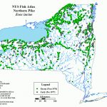 Northern Pike   Nys Dept. Of Environmental Conservation With Map Of Northern Ny State