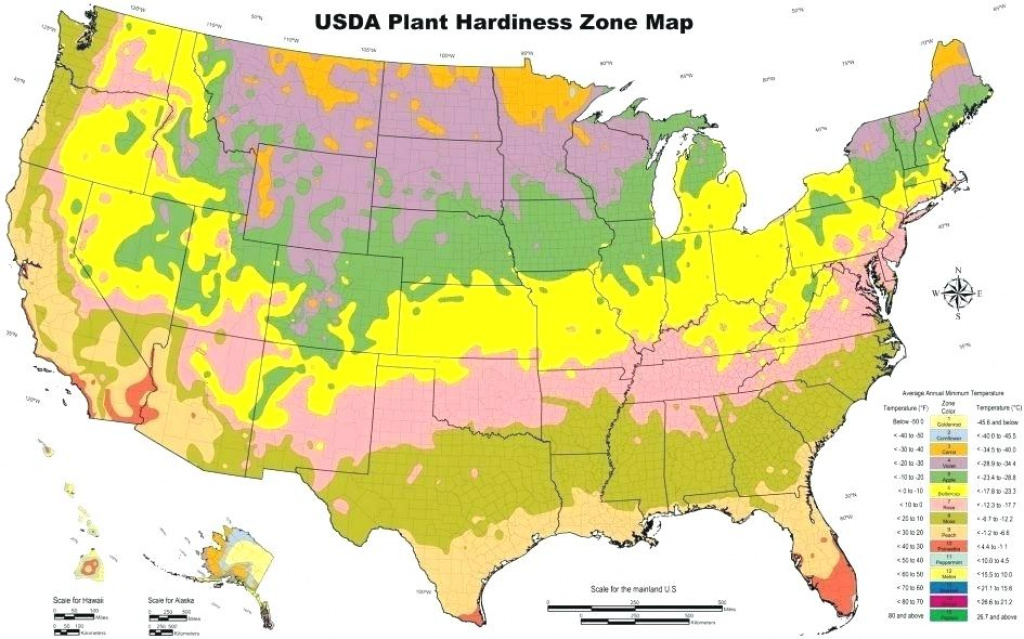 Ny Gardening Zone Garden Zone Map Hardiness Zones Us Map Hardiness pertaining to Map Of Planting Zones In United States