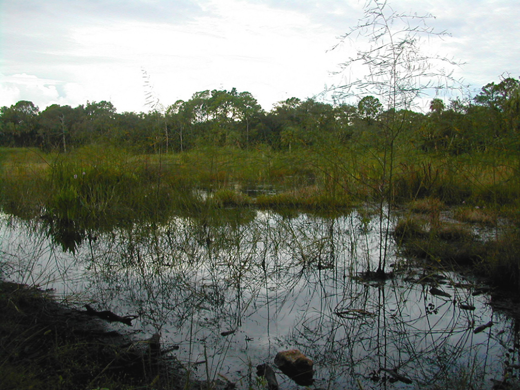 Old Datsun Trail | Florida Hikes! throughout Charlotte Harbor Preserve State Park Trail Map