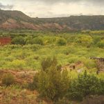 Palo Duro Canyon State Park — Texas Parks & Wildlife Department Intended For Palo Duro Canyon State Park Trail Map