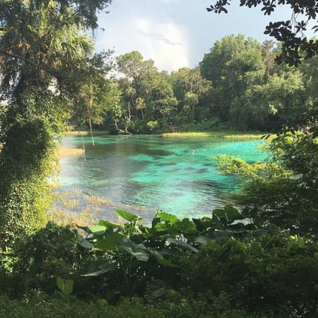 Rainbow Springs State Park - Updated 2018 Campground Reviews in Rainbow Springs State Park Campground Map