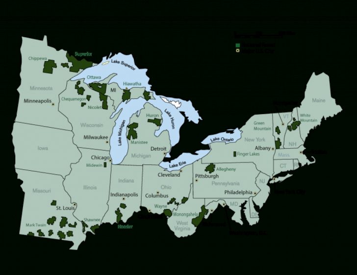 Michigan State Forest Map