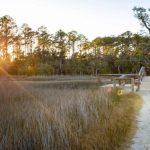 Skidaway Island State Park: Hiking The Sandpiper Trail & Avian Loop With Regard To Skidaway Island State Park Trail Map