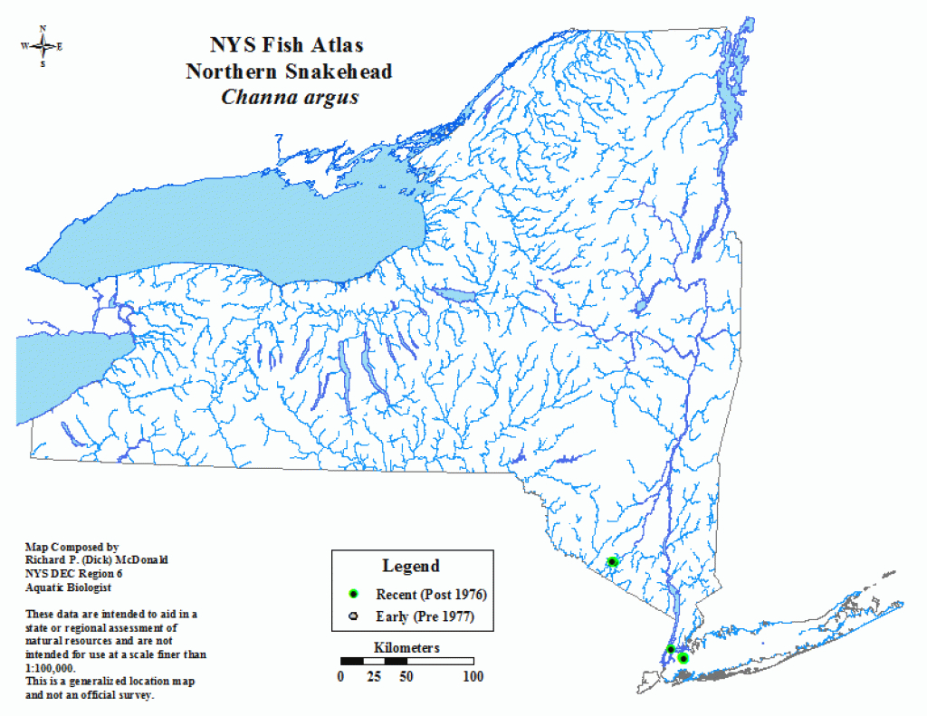 Snakehead - Nys Dept. Of Environmental Conservation throughout Map Of Northern Ny State