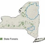 State Forests   Nys Dept. Of Environmental Conservation Intended For New York State Forests Map
