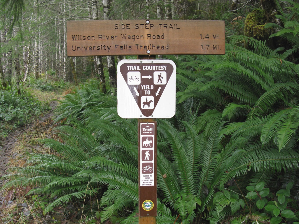 Tillamook State Forest Blog: Non-Motorized Trails intended for Tillamook State Forest Camping Map