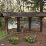 Tillamook State Forest – Gales Creek Campground, Oregon | Parkcamper Pertaining To Tillamook State Forest Camping Map