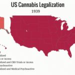Timeline Of Cannabis Laws In The United States   Wikipedia For Legal Marijuana States Map 2017