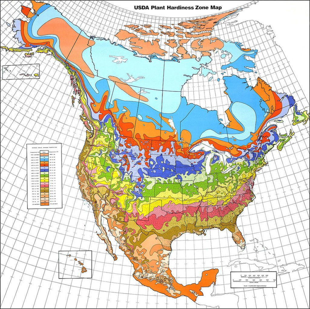Understanding World Hardiness Zones - Plant Hardiness Zones In Other for Map Of Planting Zones In United States