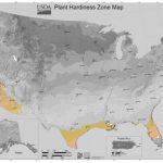 Usda Gardening Zone 9 Within Map Of Planting Zones In United States