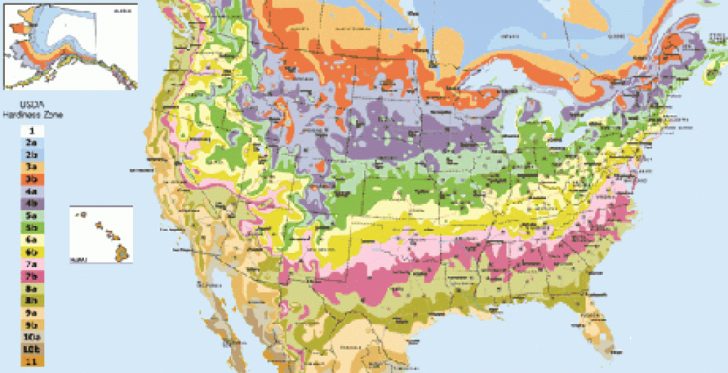 Usda Hardiness Zone Finder - Garden Throughout Map Of Planting Zones In ...