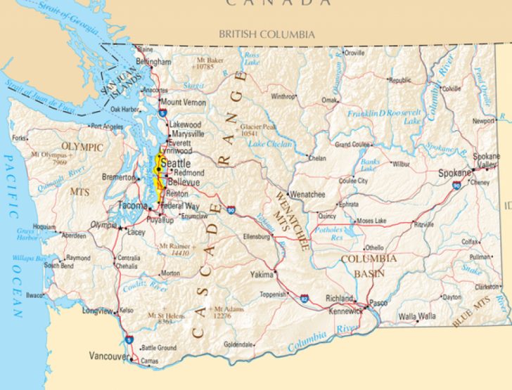 Washington State Flu Map