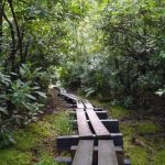 Wawayanda State Park | Njhiking With Regard To Wawayanda State Park Hiking Trail Map