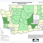 Weed Distribution Maps For Washington State Tribes Map